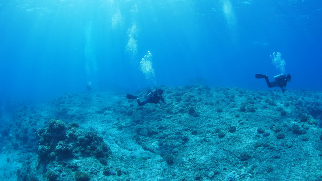 Saipan Dive: Dive Factory Sea Dance 秋田のダイビング